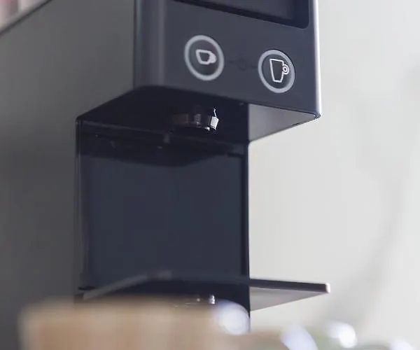 Maya Daire Chaniotis